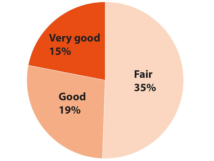 Very good: 15%; Good: 19%; Fair: 35%