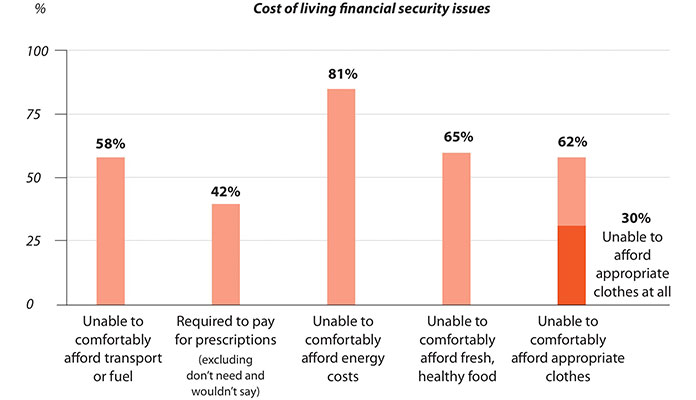 Cost of living financial security issues