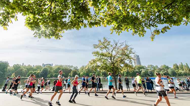 Runners in half marathon